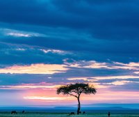 独立站运营:最近购买弹窗