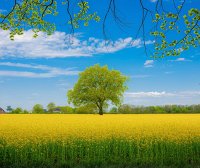 独立站运营:优惠券增销