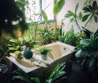 独立站运营:捆绑组合