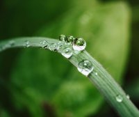 店铺设计:节日氛围