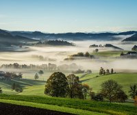 独立站运营:优惠券增销