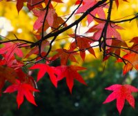 店铺设计:详情页运费工具