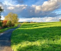 独立站运营:捐款/小费工具