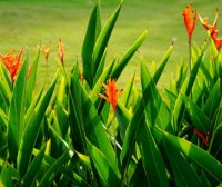 独立站运营:赠品活动应用