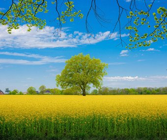 独立站运营:优惠券增销