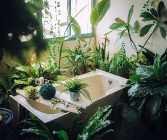 独立站运营:捆绑组合