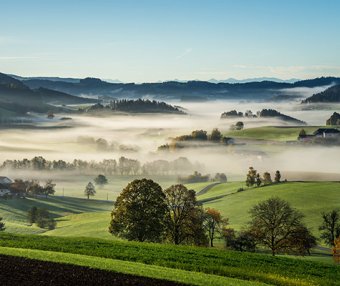 独立站运营:优惠券增销