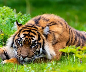 店铺设计:尺码表