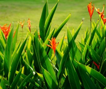 独立站运营:赠品活动应用