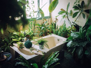 square(方块)信用卡收单