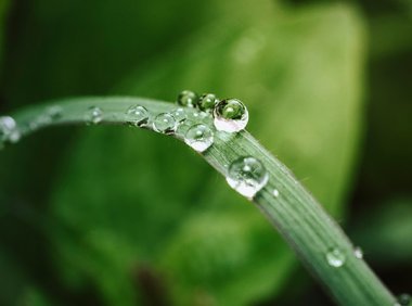 文章中可以用多个H1，H2标签吗