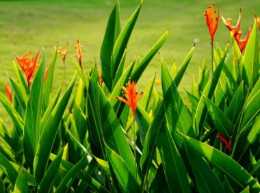 信用卡3D通道与非2D通道的区别及优势