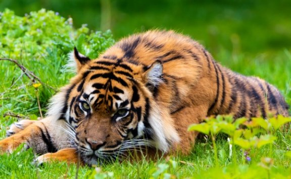 Facebook 广告企业开户需要做什么准备？