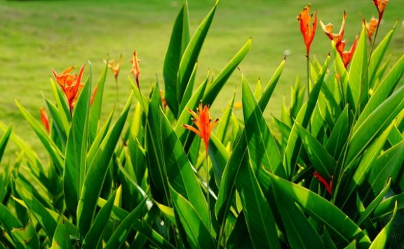 美国在线支付公司Stripe将裁员近14%，