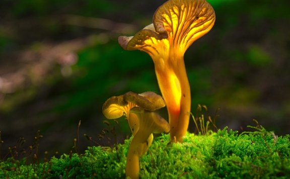 Facebook 广告企业开户需要做什么准备?