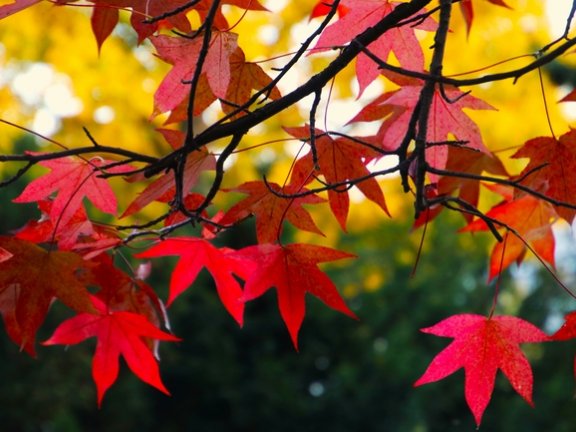 广告营销：Facebook工具集